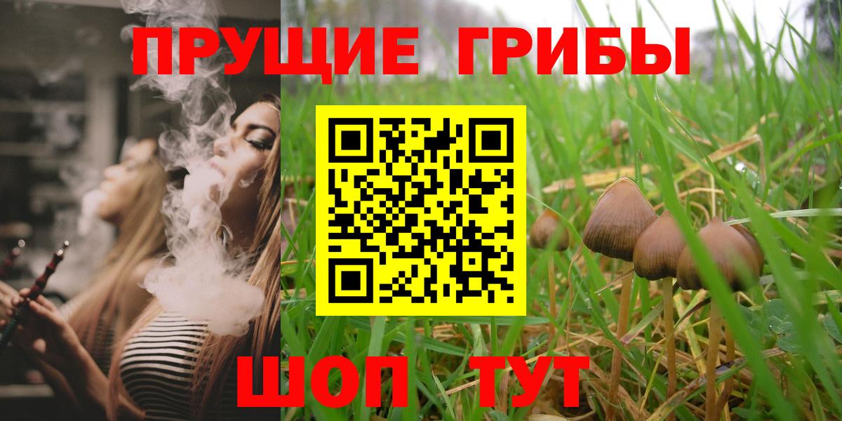 Галлюциногенные грибы MAGIC MUSHROOMS  купить наркотик  Петрозаводск  Вход с VPN 